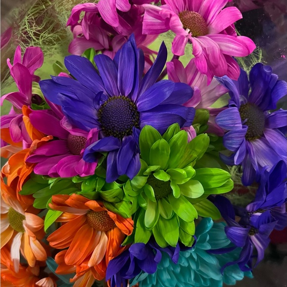 Meet your Posher, Ann - Picture 1 of 2